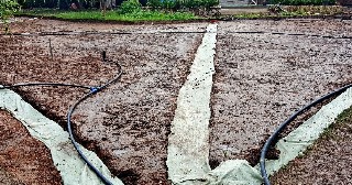 Устройство дренажа Чернушка, цена от 1378 руб.